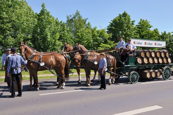 Schwerin Festumzug   069.jpg